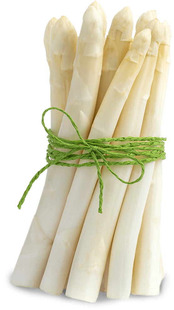 weißer Spargel